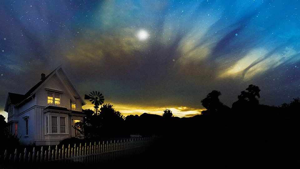 Похищенный