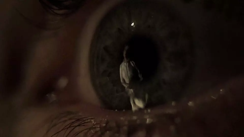 I Am the Pretty Thing That Lives in the House