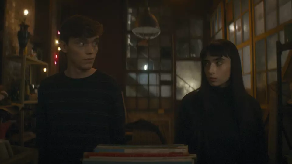 Вампирша-гуманистка ищет отчаянного добровольца