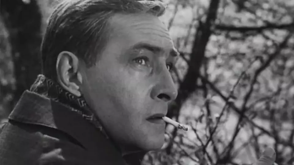 Семнадцать мгновений весны